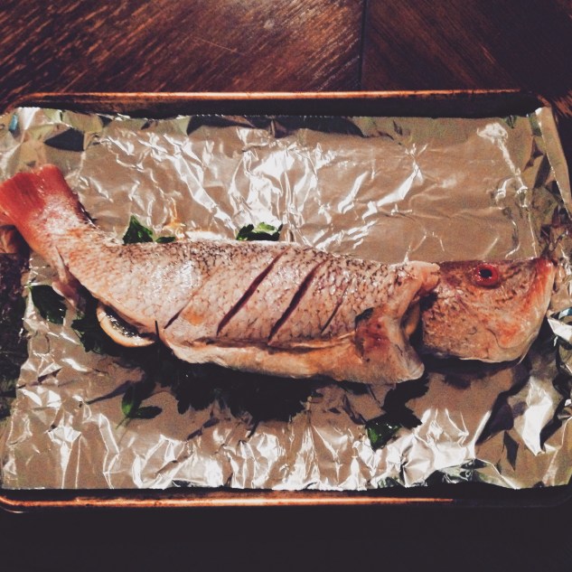 Processed with VSCOcam with hb1 preset